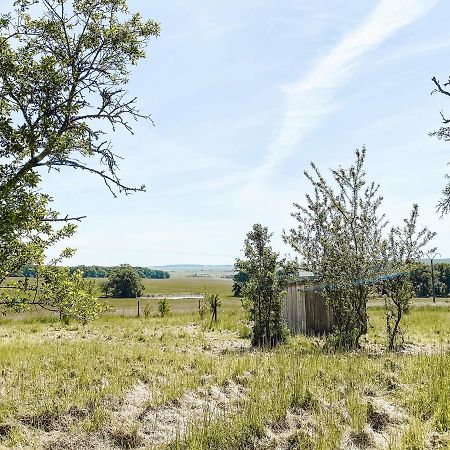 Pensjonat Le Val Suzenay Vendeuvre-sur-Barse Zewnętrze zdjęcie