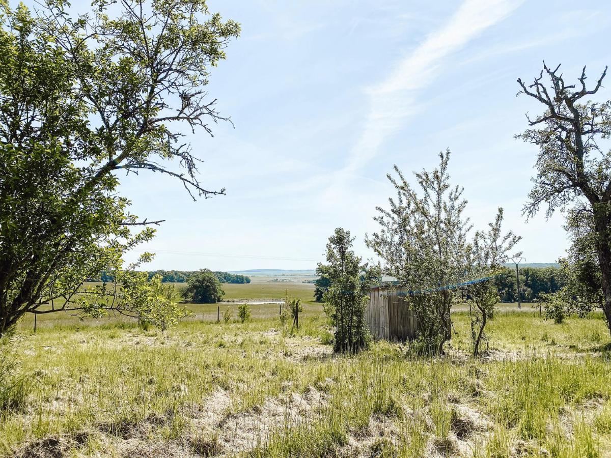 Pensjonat Le Val Suzenay Vendeuvre-sur-Barse Zewnętrze zdjęcie