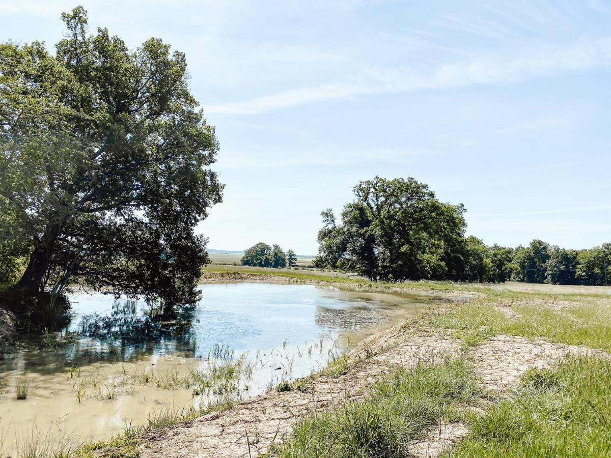 Pensjonat Le Val Suzenay Vendeuvre-sur-Barse Zewnętrze zdjęcie