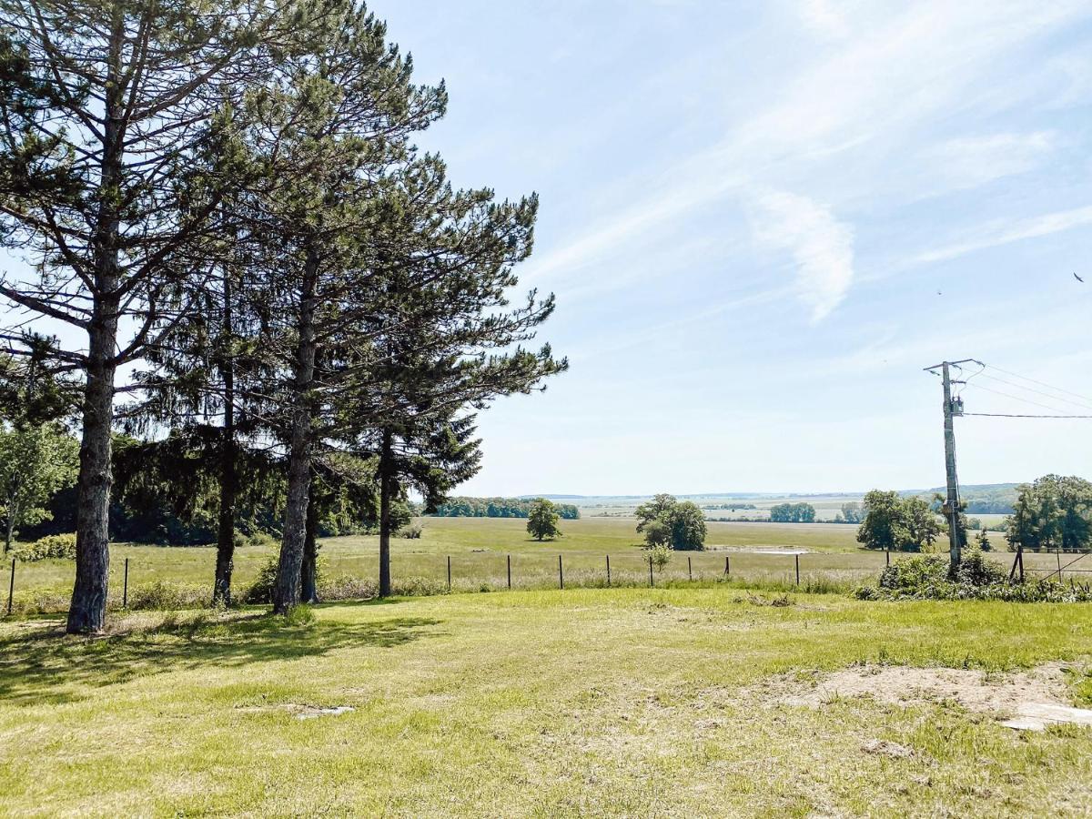 Pensjonat Le Val Suzenay Vendeuvre-sur-Barse Zewnętrze zdjęcie